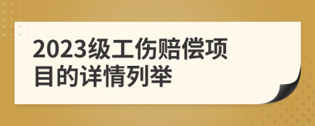2023级工伤赔偿项目的详情列举