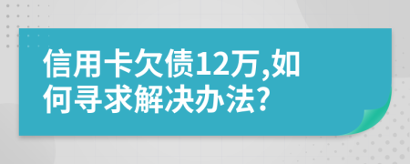 信用卡欠债12万,如何寻求解决办法?