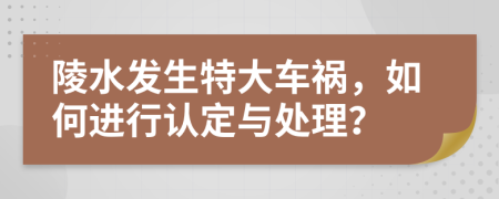 陵水发生特大车祸，如何进行认定与处理？