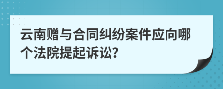 云南赠与合同纠纷案件应向哪个法院提起诉讼？