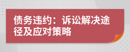 债务违约：诉讼解决途径及应对策略