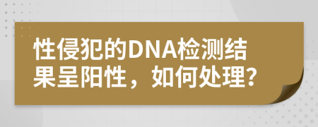 性侵犯的DNA检测结果呈阳性，如何处理？