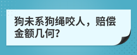 狗未系狗绳咬人，赔偿金额几何？