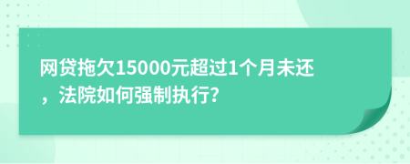 网贷拖欠15000元超过1个月未还，法院如何强制执行？