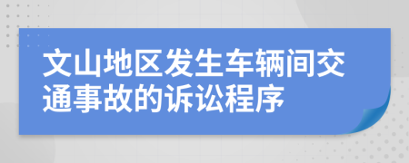 文山地区发生车辆间交通事故的诉讼程序