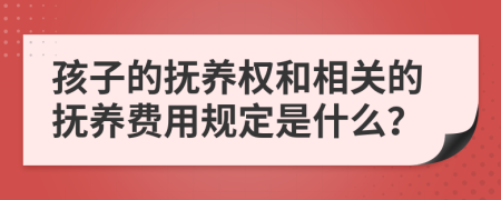 孩子的抚养权和相关的抚养费用规定是什么？