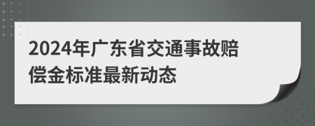 2024年广东省交通事故赔偿金标准最新动态