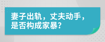 妻子出轨，丈夫动手，是否构成家暴？