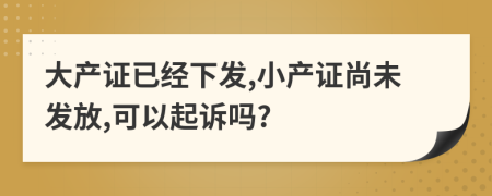 大产证已经下发,小产证尚未发放,可以起诉吗?
