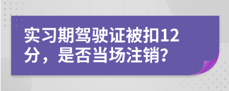 实习期驾驶证被扣12分，是否当场注销？