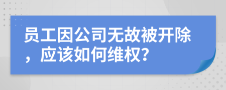 员工因公司无故被开除，应该如何维权？