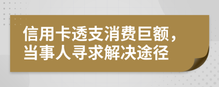 信用卡透支消费巨额，当事人寻求解决途径