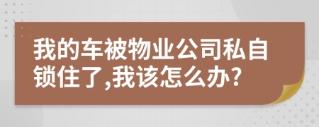 我的车被物业公司私自锁住了,我该怎么办?