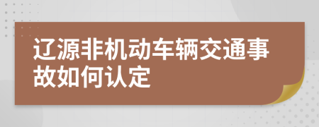 辽源非机动车辆交通事故如何认定