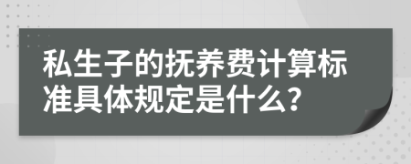 私生子的抚养费计算标准具体规定是什么？