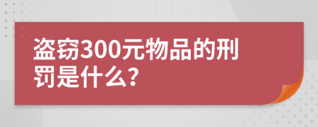 盗窃300元物品的刑罚是什么？