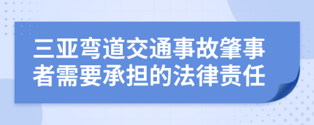 三亚弯道交通事故肇事者需要承担的法律责任