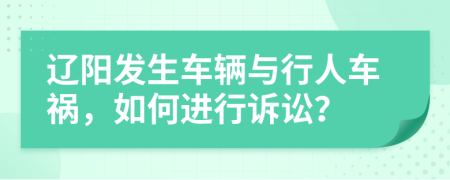 辽阳发生车辆与行人车祸，如何进行诉讼？