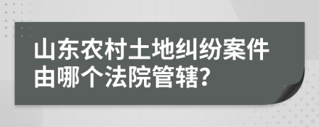 山东农村土地纠纷案件由哪个法院管辖？