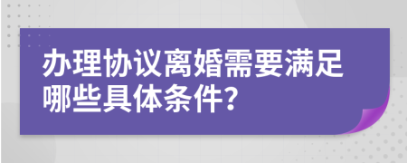 办理协议离婚需要满足哪些具体条件？