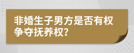 非婚生子男方是否有权争夺抚养权？