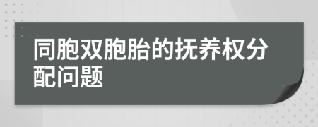 同胞双胞胎的抚养权分配问题