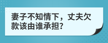 妻子不知情下，丈夫欠款该由谁承担？