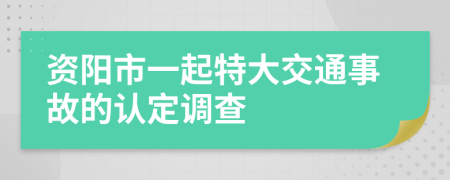 资阳市一起特大交通事故的认定调查