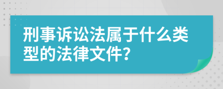 刑事诉讼法属于什么类型的法律文件？