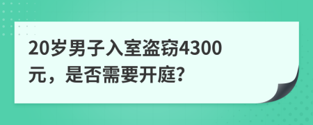 20岁男子入室盗窃4300元，是否需要开庭？
