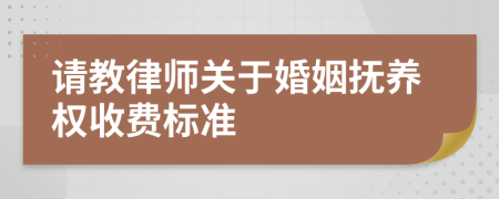 请教律师关于婚姻抚养权收费标准