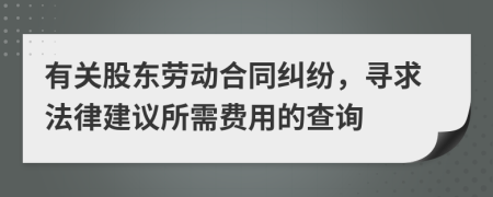 有关股东劳动合同纠纷，寻求法律建议所需费用的查询