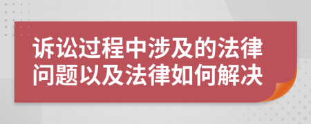 诉讼过程中涉及的法律问题以及法律如何解决