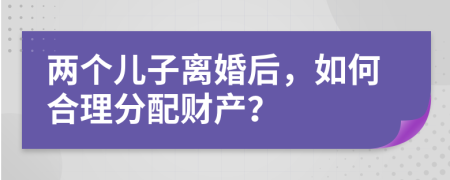 两个儿子离婚后，如何合理分配财产？
