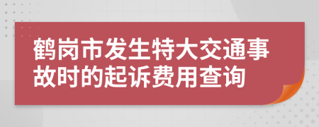 鹤岗市发生特大交通事故时的起诉费用查询
