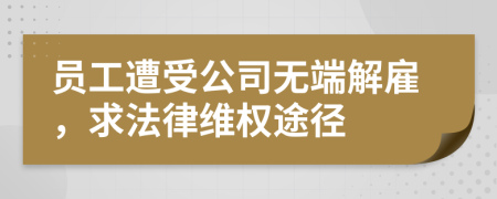 员工遭受公司无端解雇，求法律维权途径