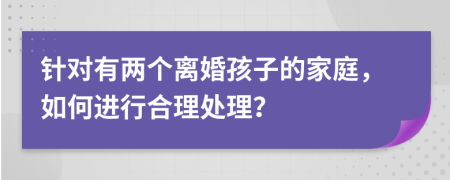 针对有两个离婚孩子的家庭，如何进行合理处理？