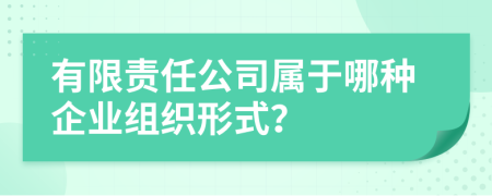有限责任公司属于哪种企业组织形式？