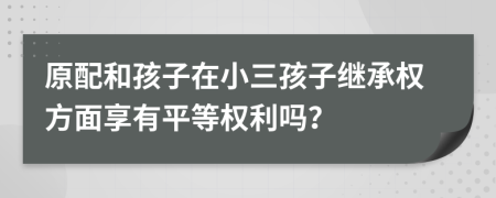 原配和孩子在小三孩子继承权方面享有平等权利吗？
