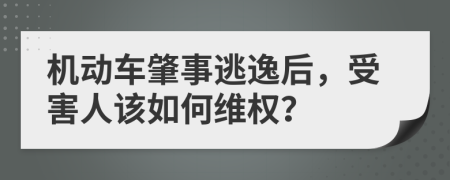 机动车肇事逃逸后，受害人该如何维权？