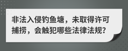 非法入侵钓鱼塘，未取得许可捕捞，会触犯哪些法律法规？
