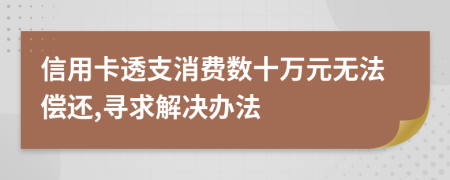 信用卡透支消费数十万元无法偿还,寻求解决办法