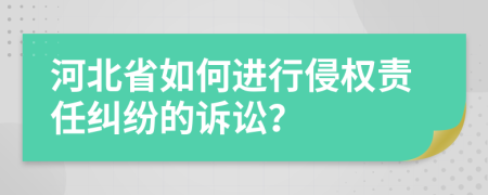 河北省如何进行侵权责任纠纷的诉讼？