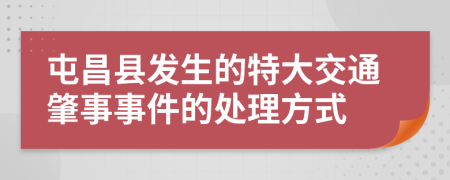 屯昌县发生的特大交通肇事事件的处理方式