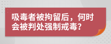 吸毒者被拘留后，何时会被判处强制戒毒？