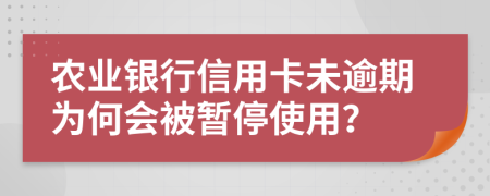 农业银行信用卡未逾期为何会被暂停使用？