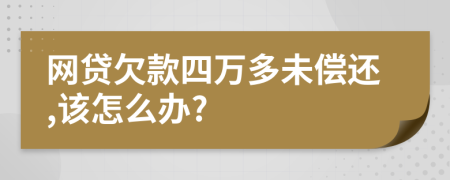网贷欠款四万多未偿还,该怎么办?