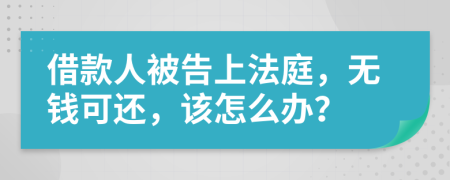 借款人被告上法庭，无钱可还，该怎么办？