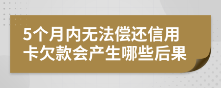5个月内无法偿还信用卡欠款会产生哪些后果