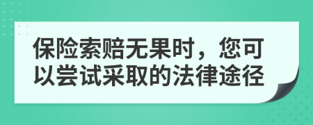 保险索赔无果时，您可以尝试采取的法律途径